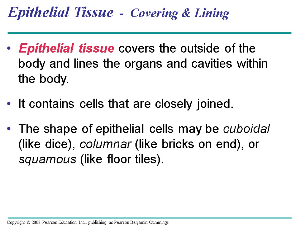 Epithelial Tissue - Covering & Lining Epithelial tissue covers the outside of the body